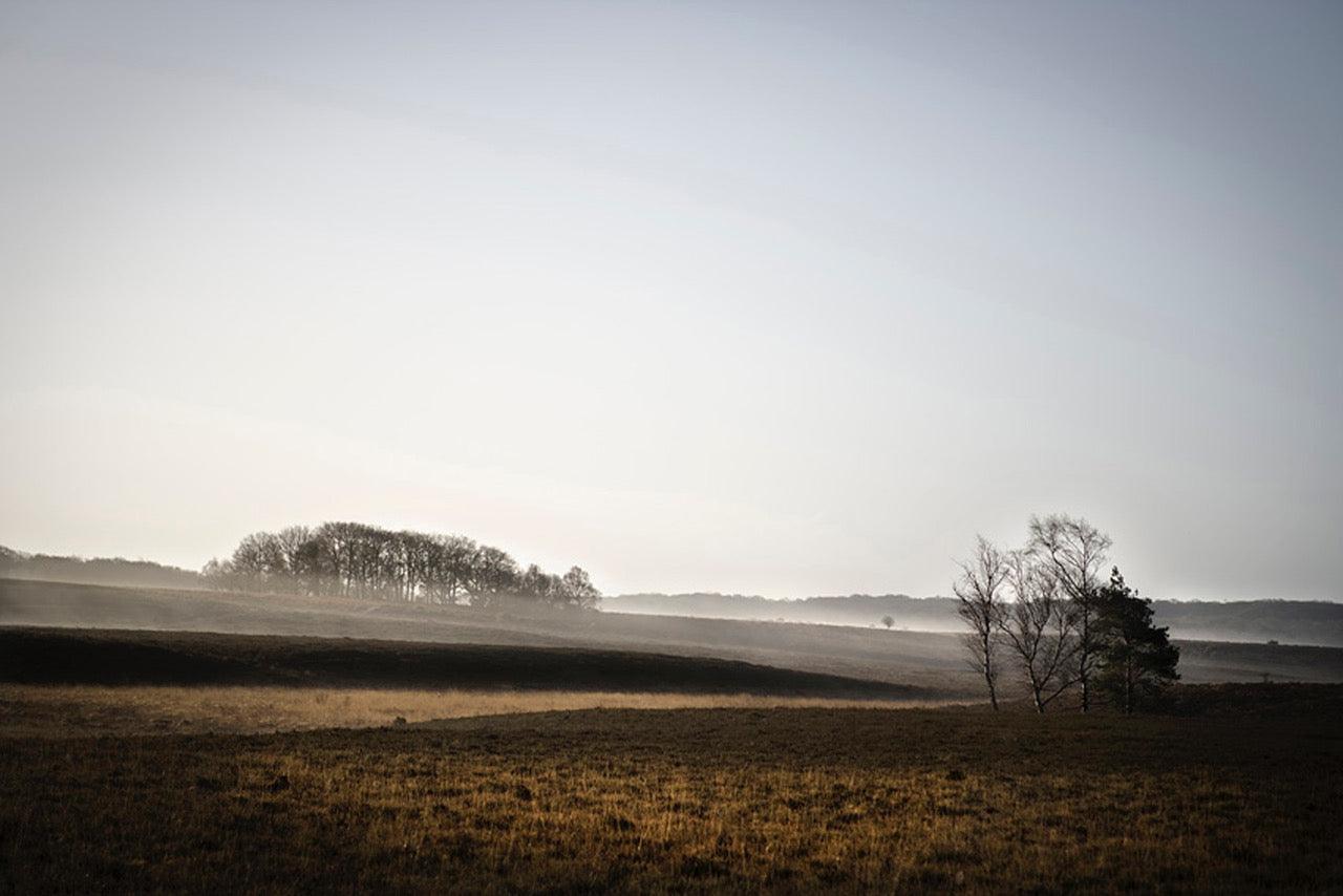 On the Way to Beaulieu Road Station