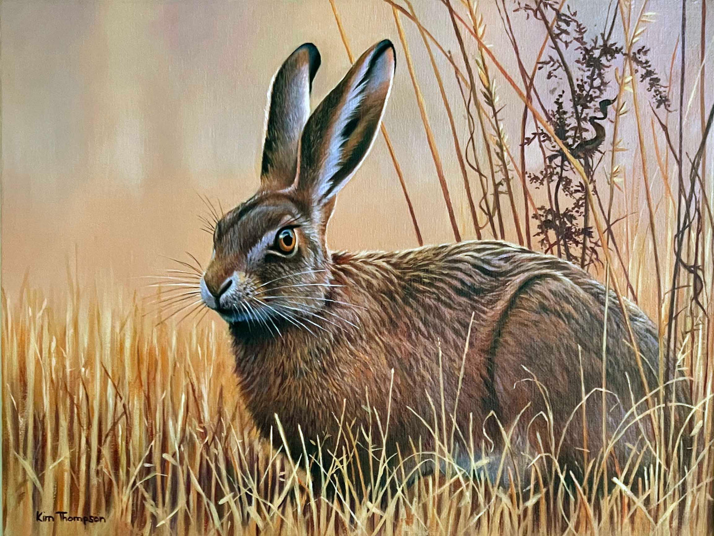 Harvest Hare