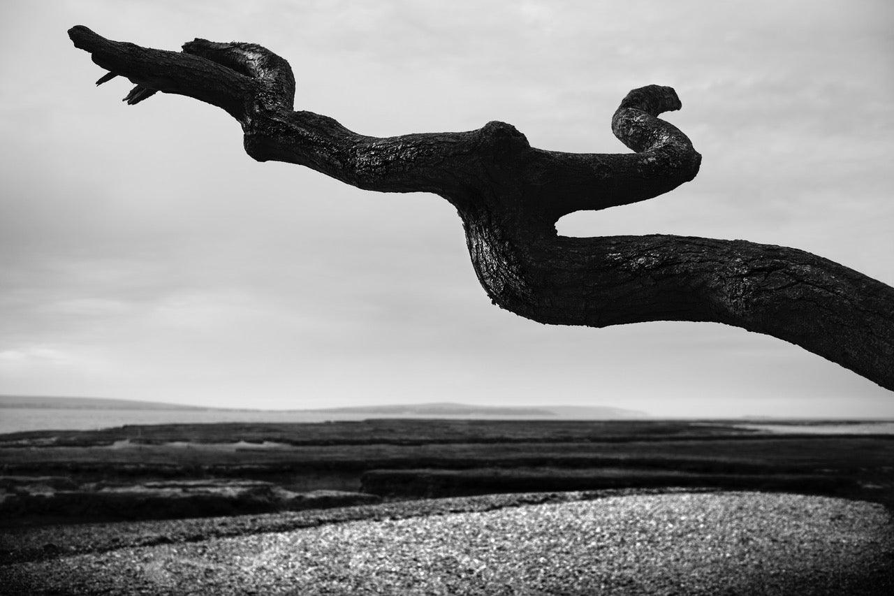 On the Horns of a Dilemma