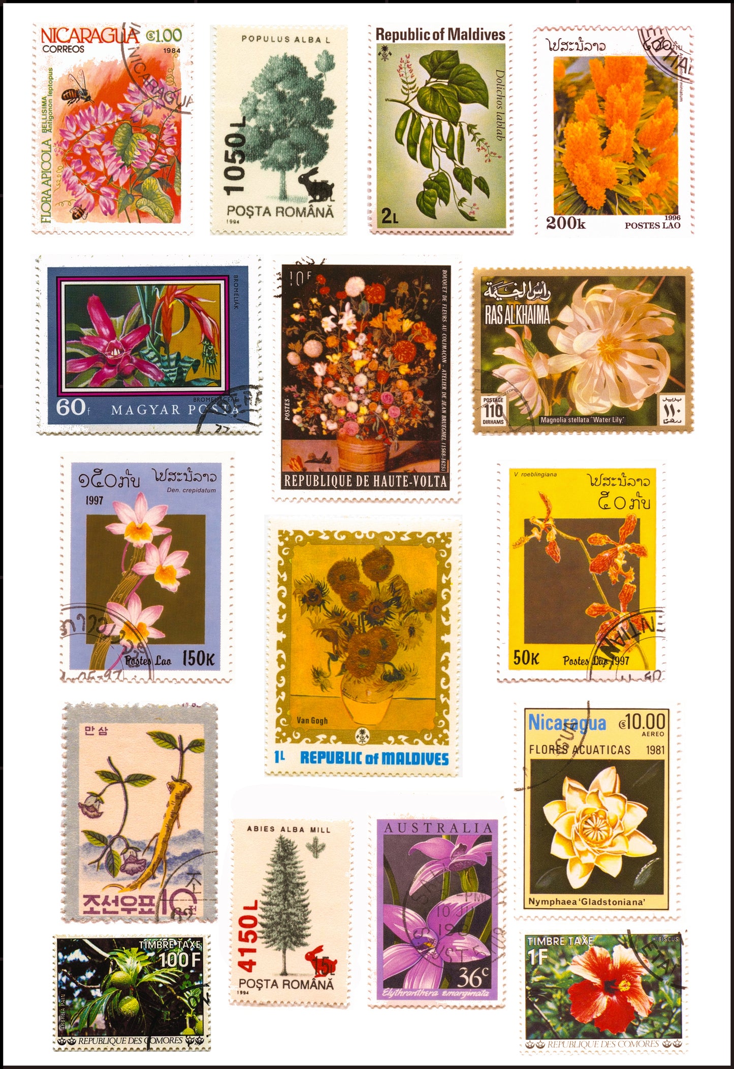Flower Stamps Collection