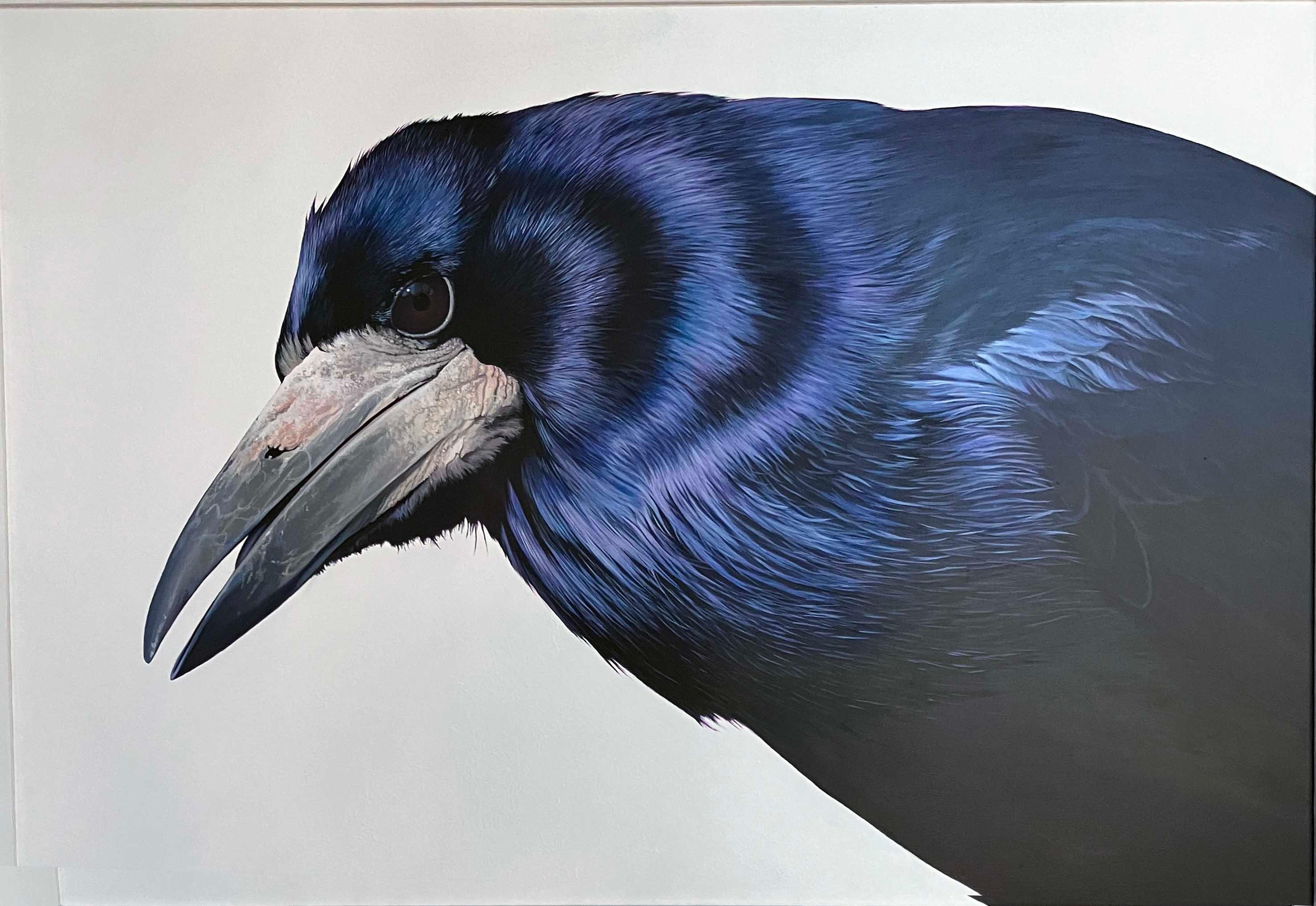 Kim Thompson – The Palais Des Vaches Gallery