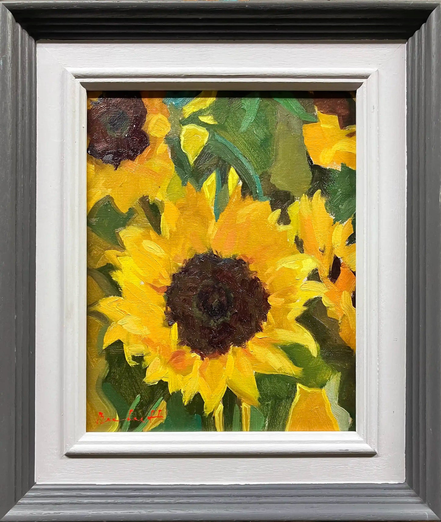 Sun Flower Head